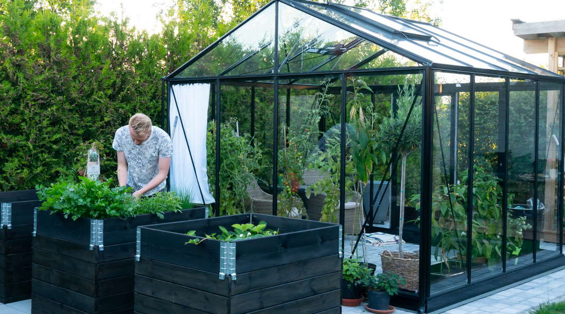 6x8 Greenhouse