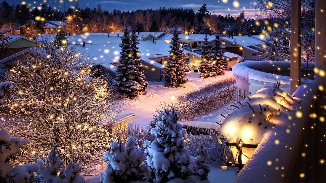 Winter Garden Landscape Ideas