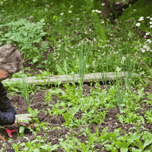 All Natural Weed Control