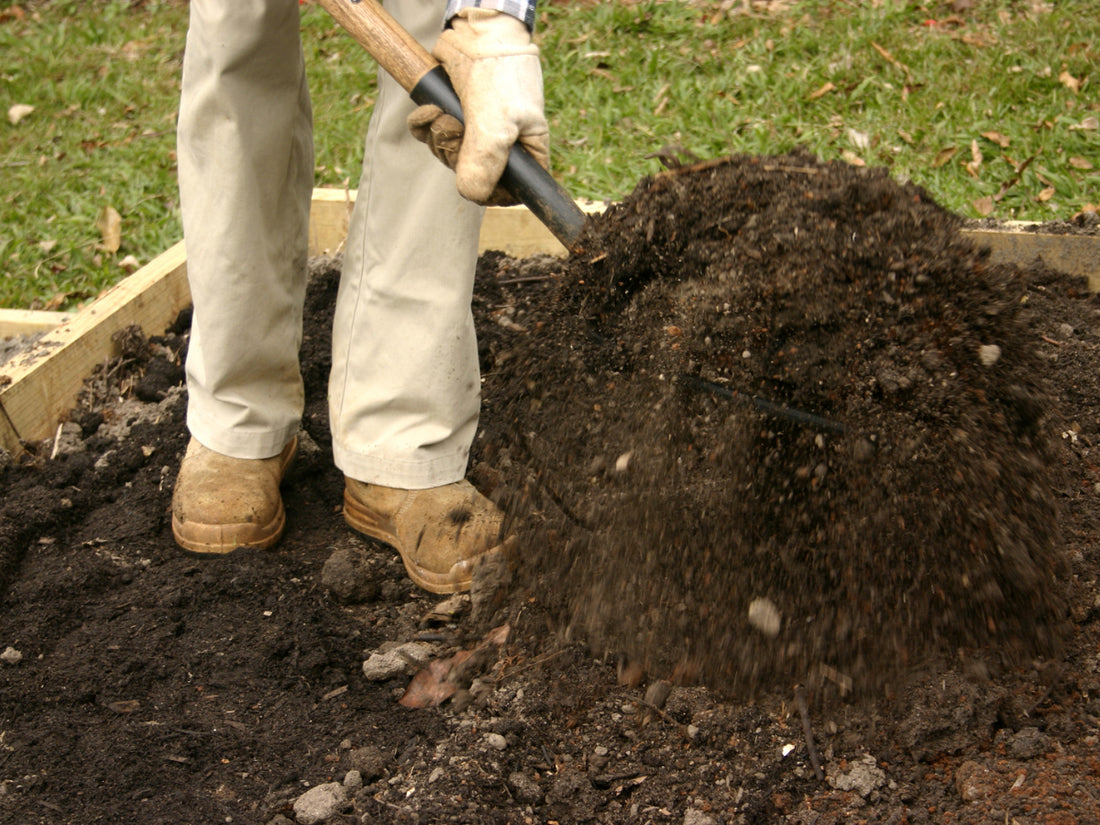 Best Garden Soil Amendments
