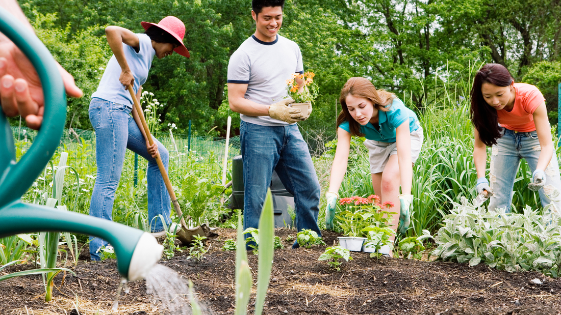 Community Gardening