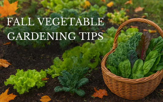 Fall Vegetable Gardening Tips