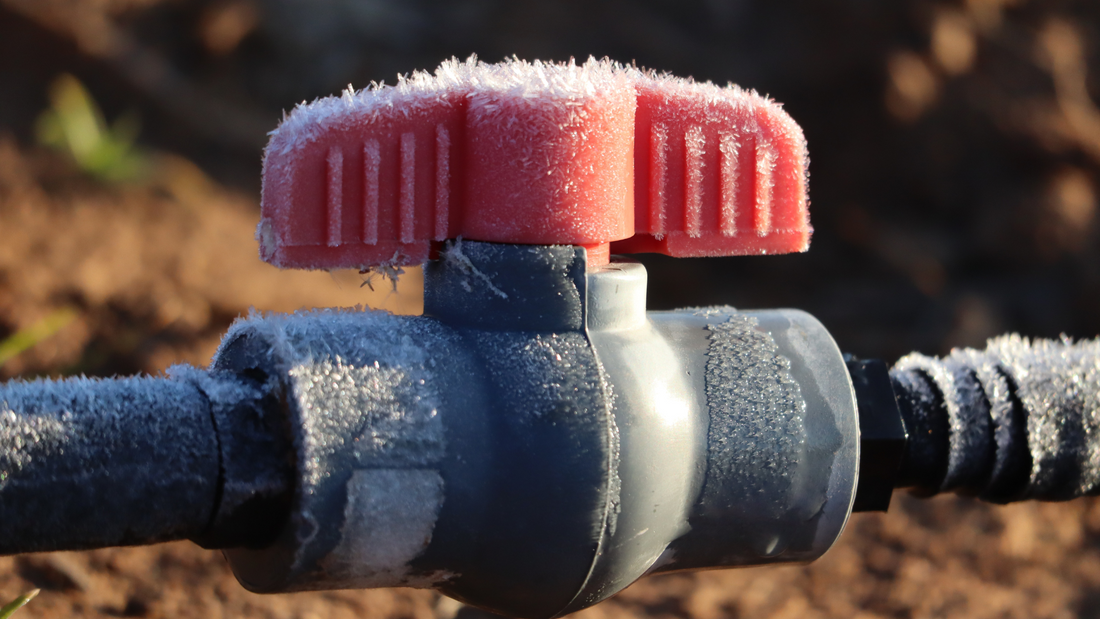 Garden Winterization