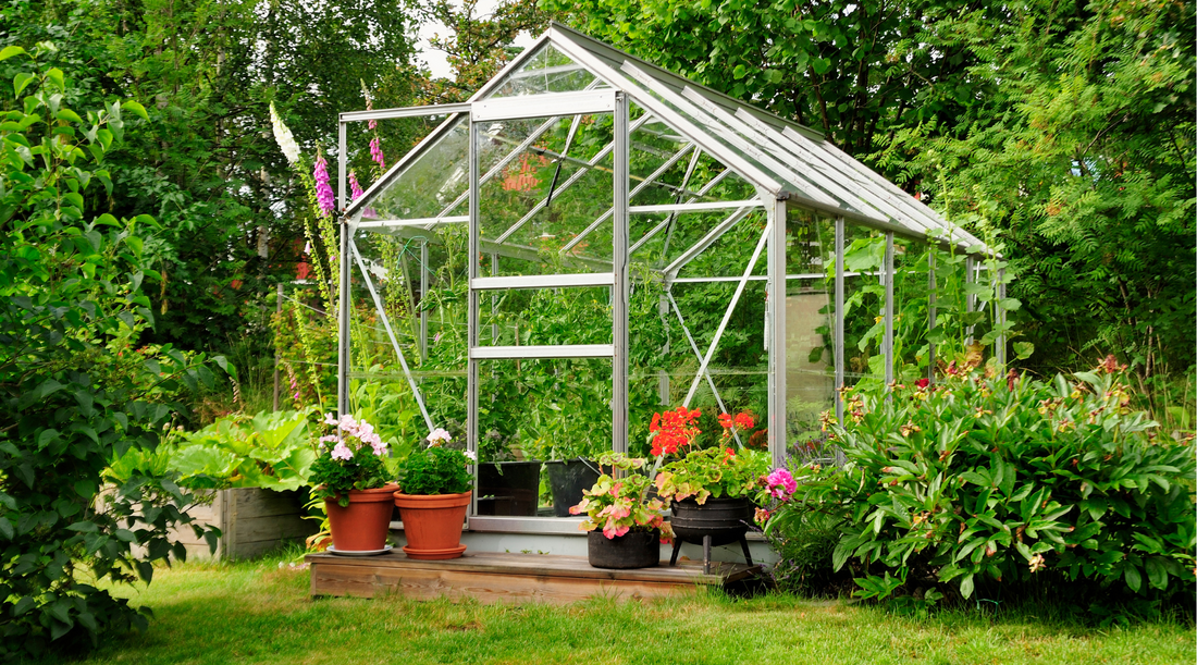 Gardening in a Greenhouse