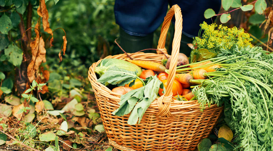 Harvest Crops