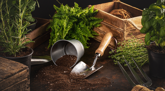 Keep Your Soil Healthy, Happy and Fertile