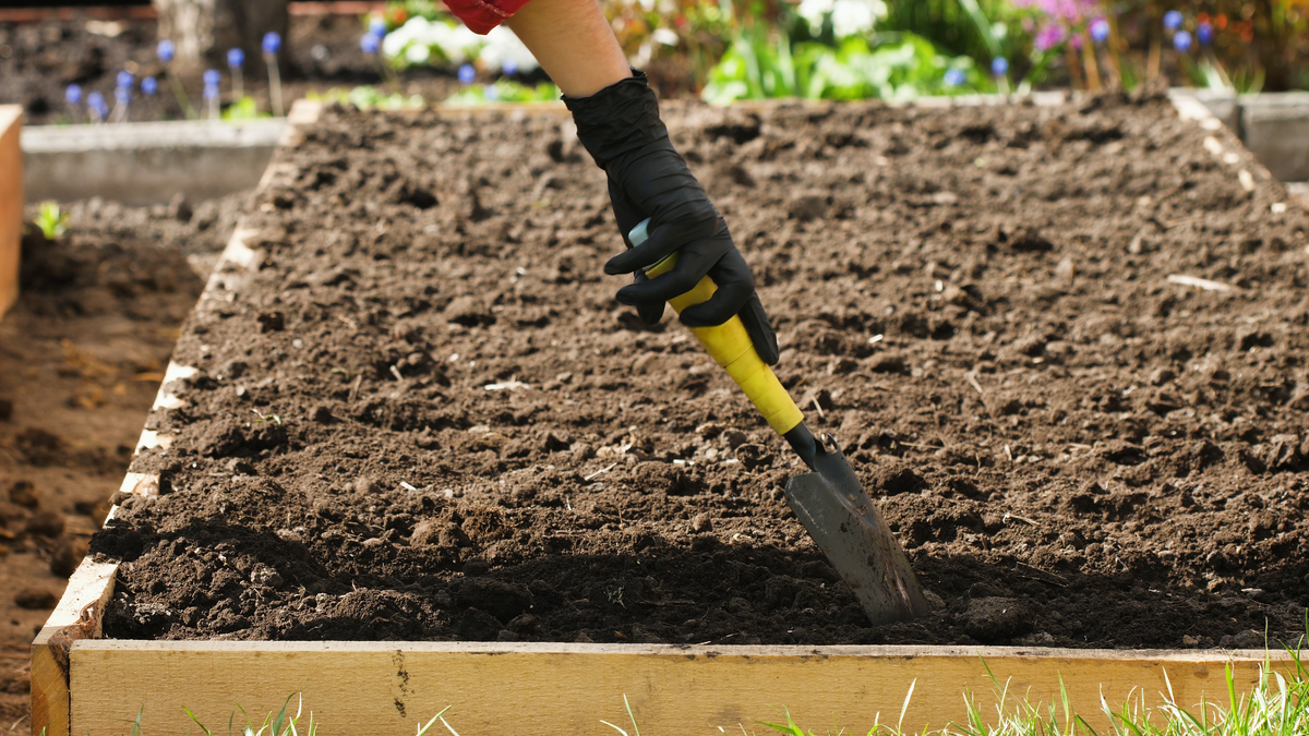 How to Make Garden Rows for Efficient Row Gardening Hardy Garden