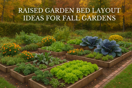 Raised Garden Bed Layout Ideas for Fall Gardens