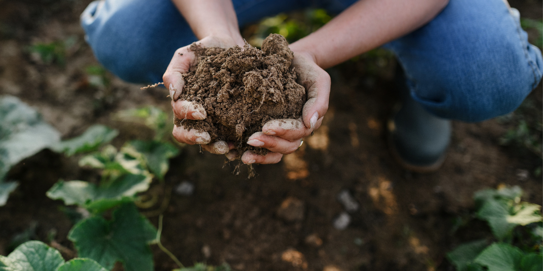 Regenerative Gardening