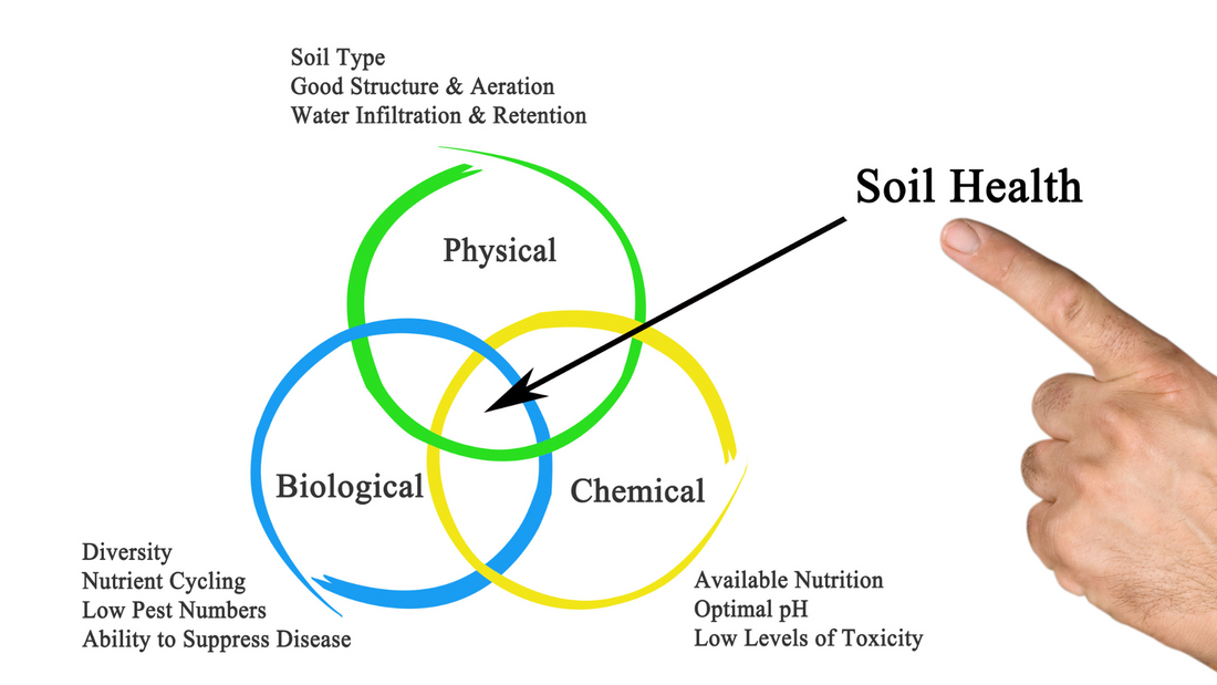 Soil Health