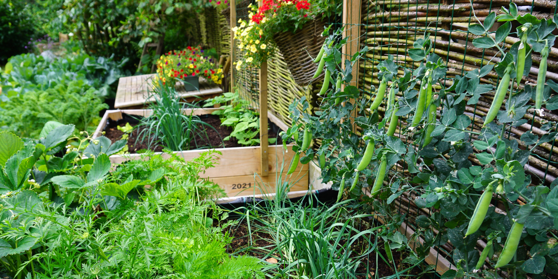 Vertical Gardening in Raised Beds