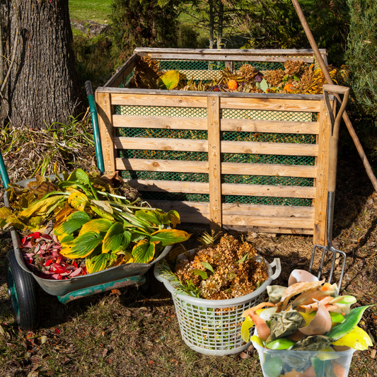 What Is Composting