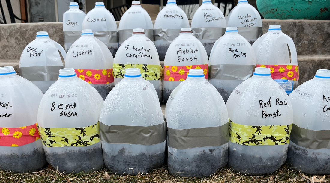 How to Start Seeds Outdoors: Winter Sowing