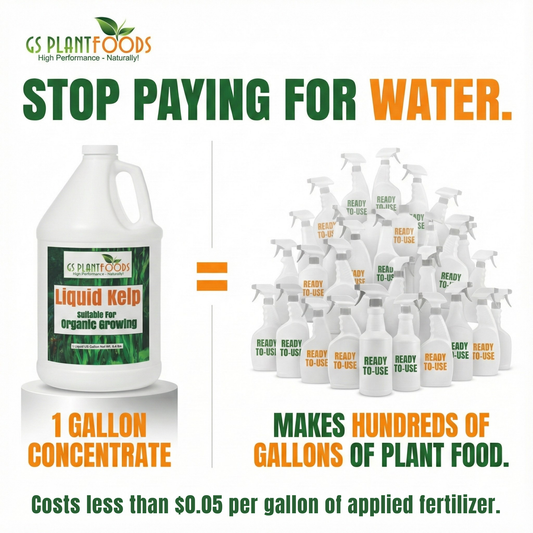 Liquid Kelp Fertilizer