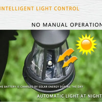 Left and Right Garden Fairies with Solar Lights