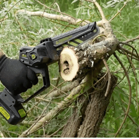 Cordless Pole Pruning Chainsaw