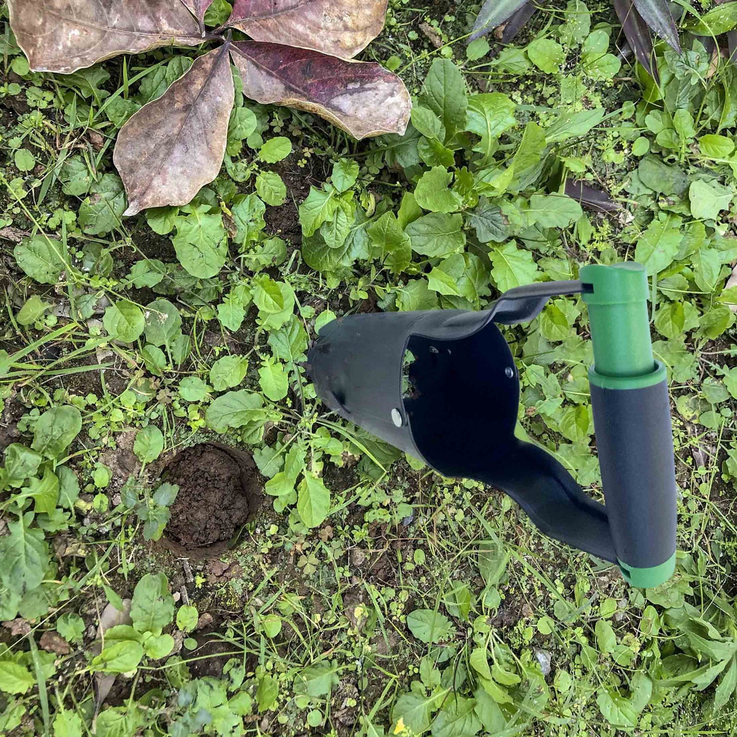 Bulb Planting Tool