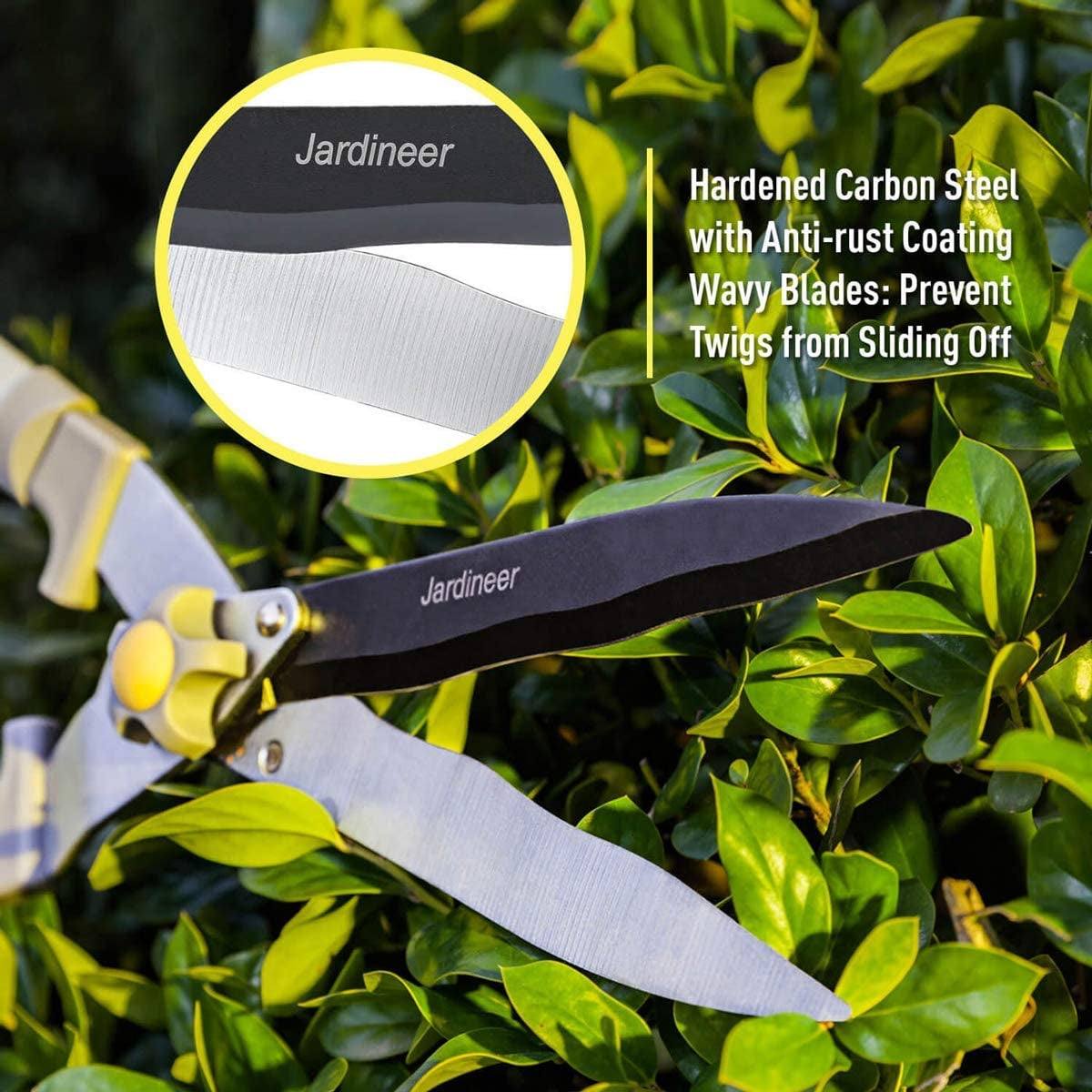Hedge Shears