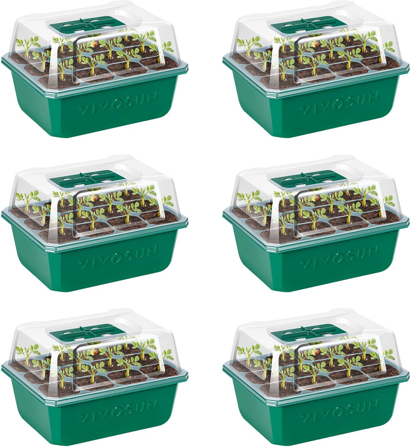 Seedling Trays