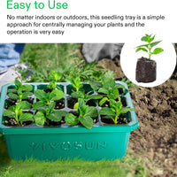 Seedling Trays