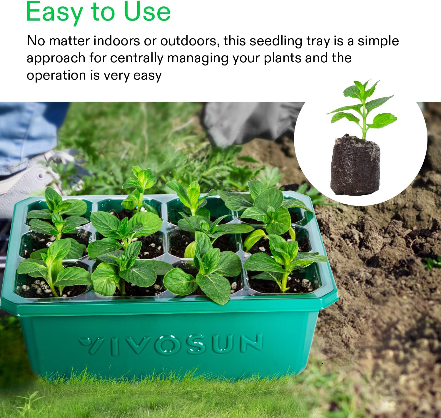 Seedling Trays
