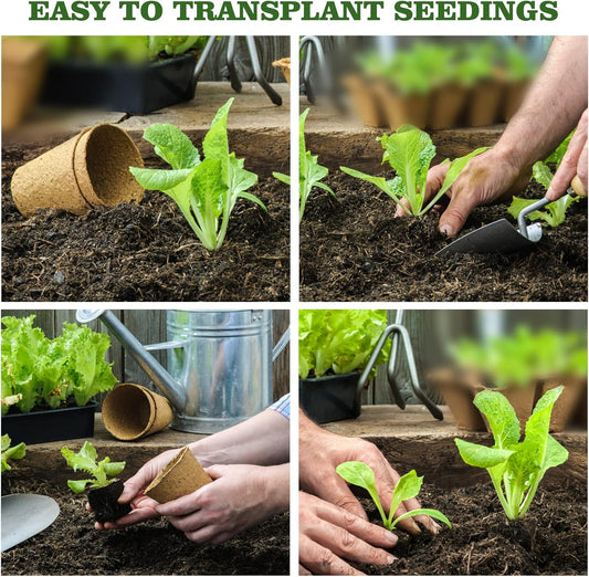 40Pcs 3.15 Inch Peat Pots, Biodegradable Eco-Friendly Round Plant Seedling Starters Kit, Seed Germination Trays with 10 Plant Labels for Flower Vegetable Tomato Saplings & Herb Seed Germination