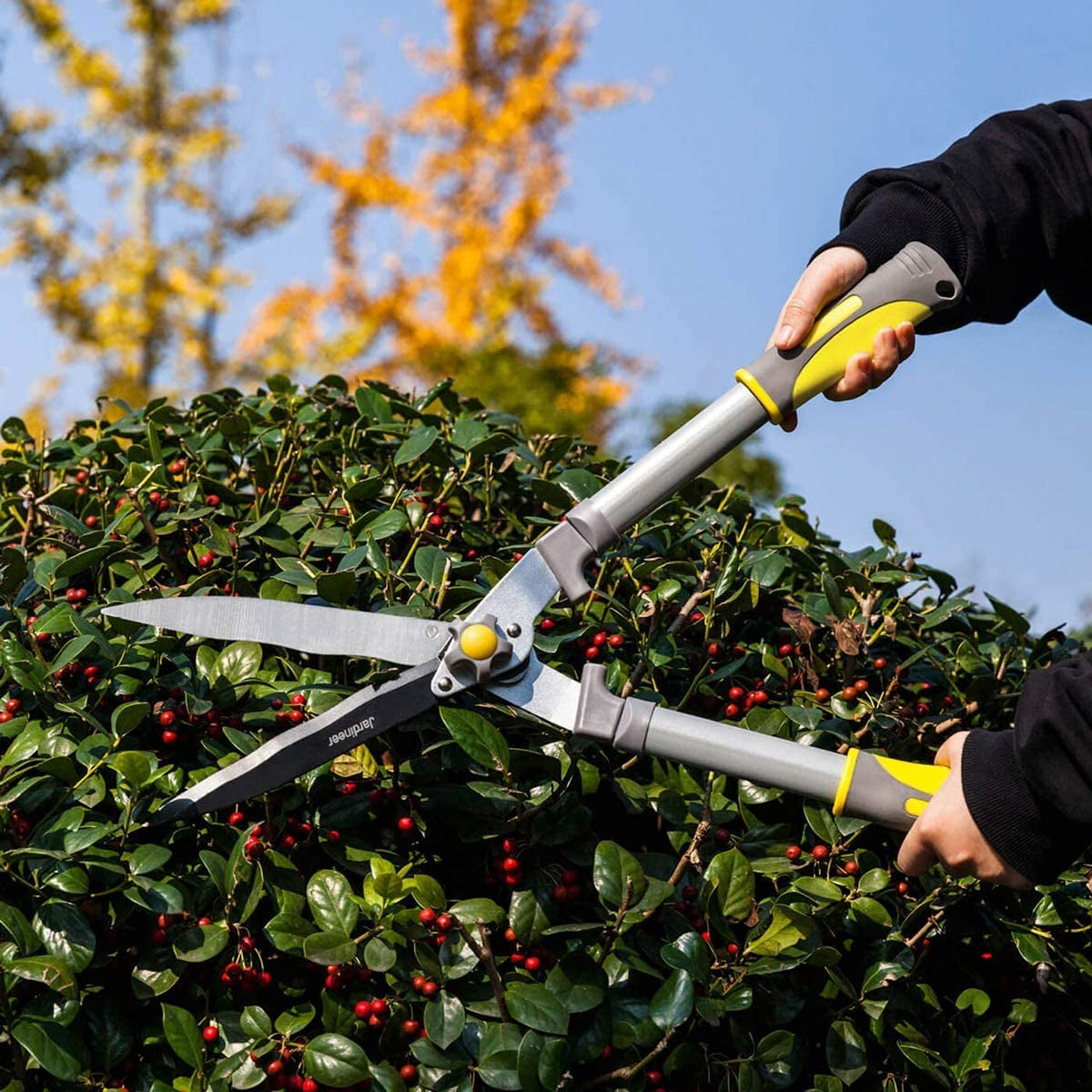 Hedge Shears