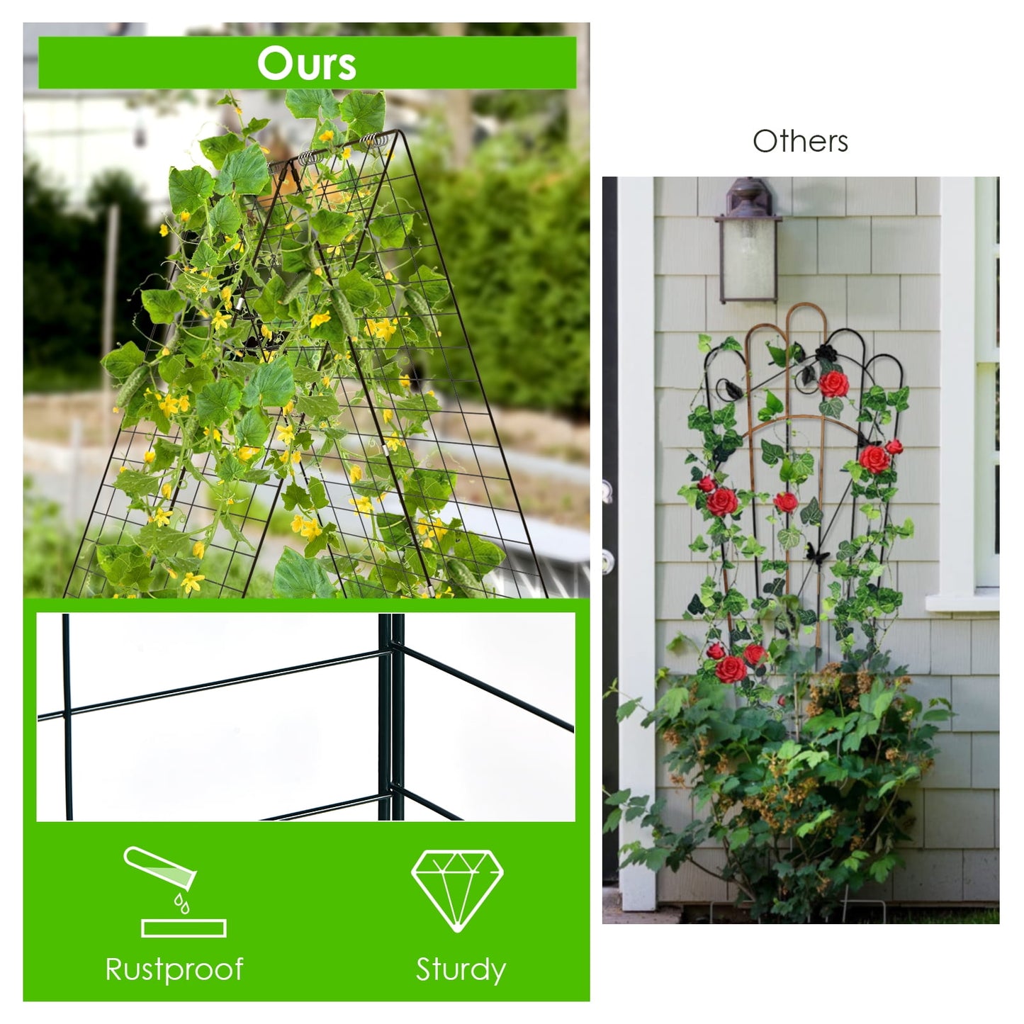 Cucumber and Bean Garden Trellis