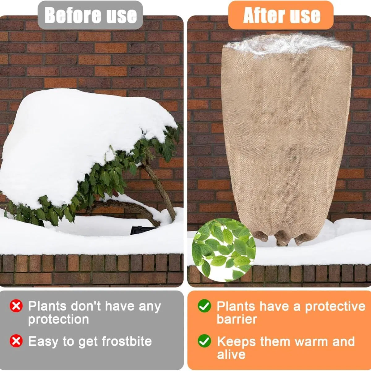 Frost Cloth for Plants