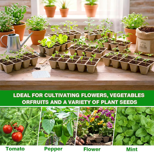 Seed Trays