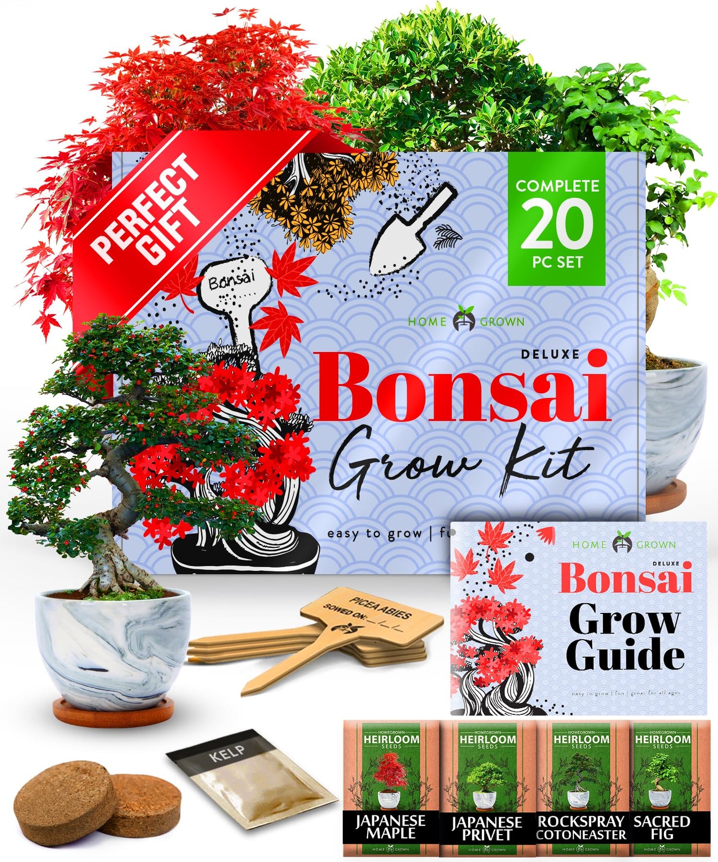 Bonsai Tree Starter Kits