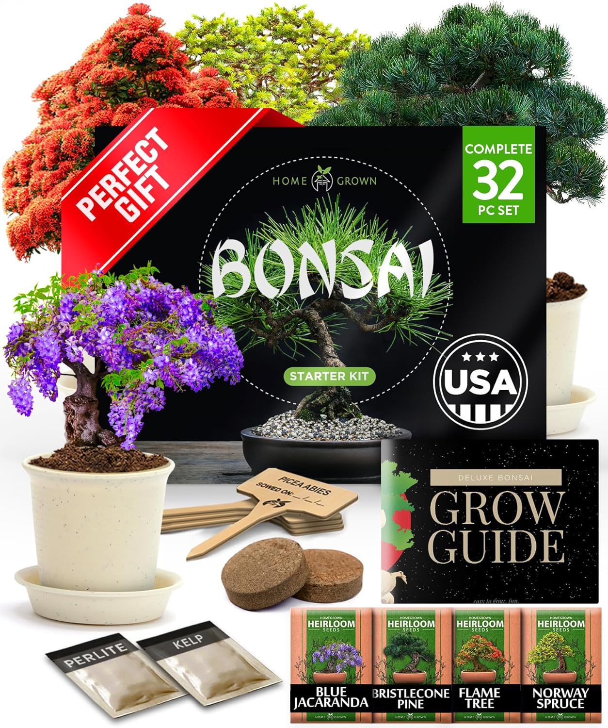 Bonsai Tree Starter Kits