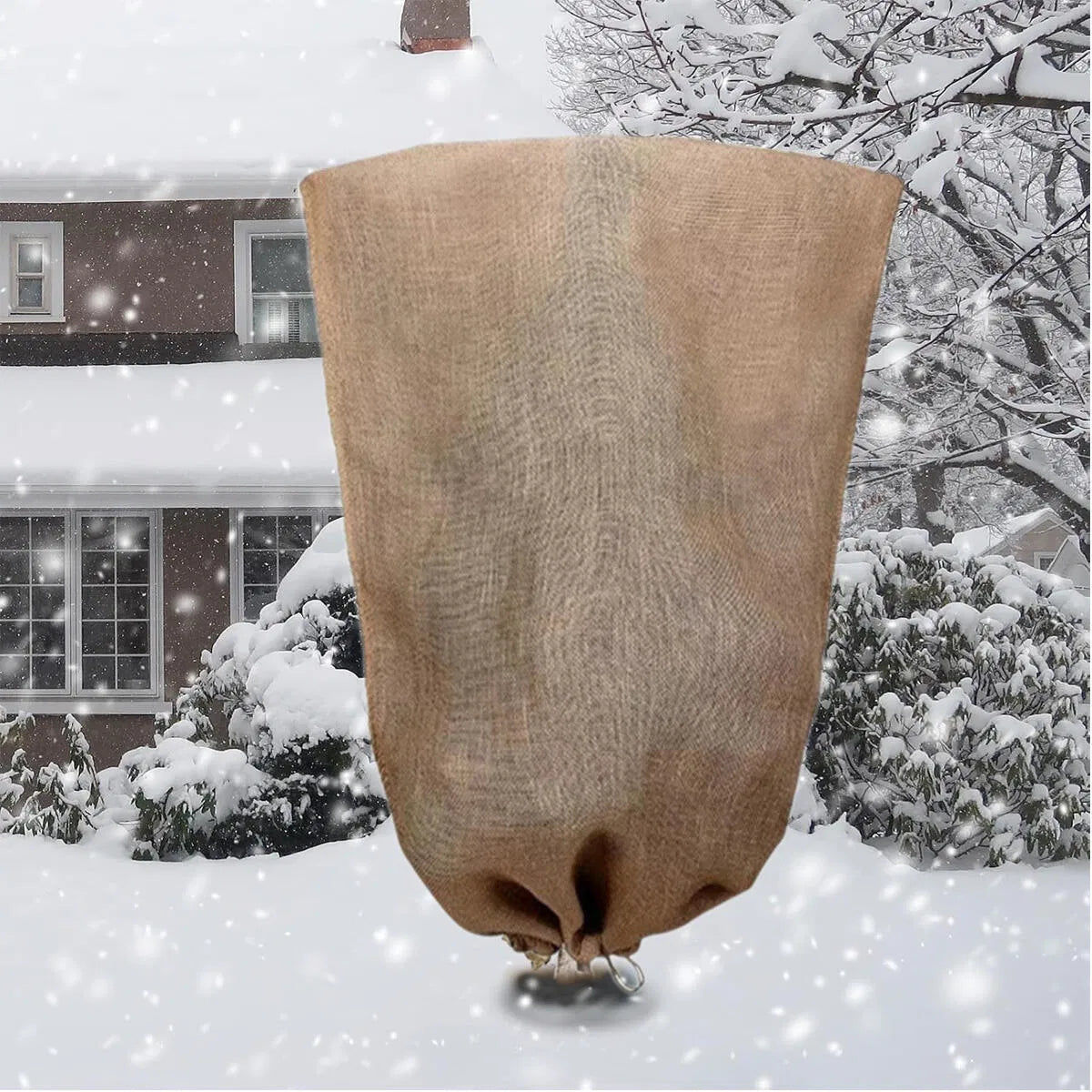 Frost Cloth for Plants