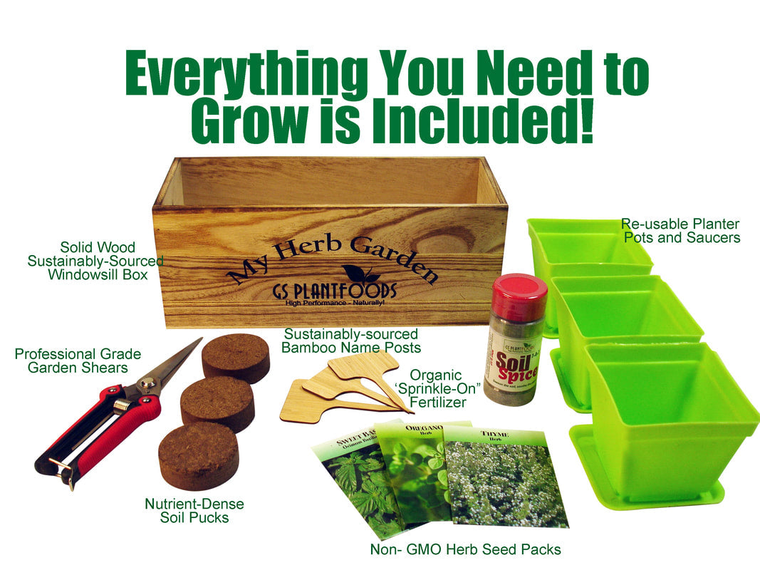 Herb Garden Kit