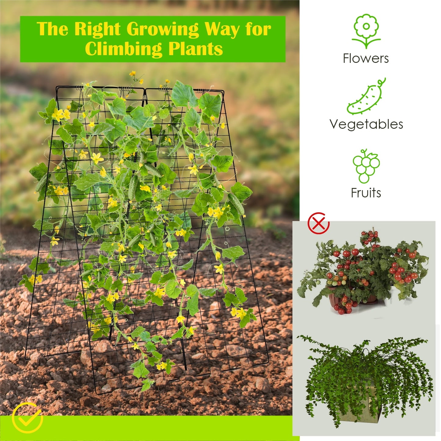 Cucumber and Bean Garden Trellis