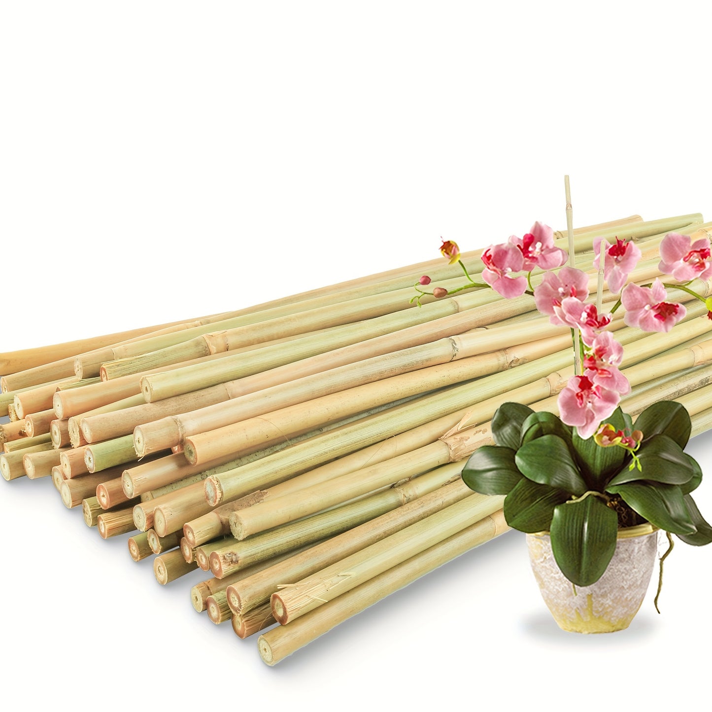 Bamboo Plant Stakes