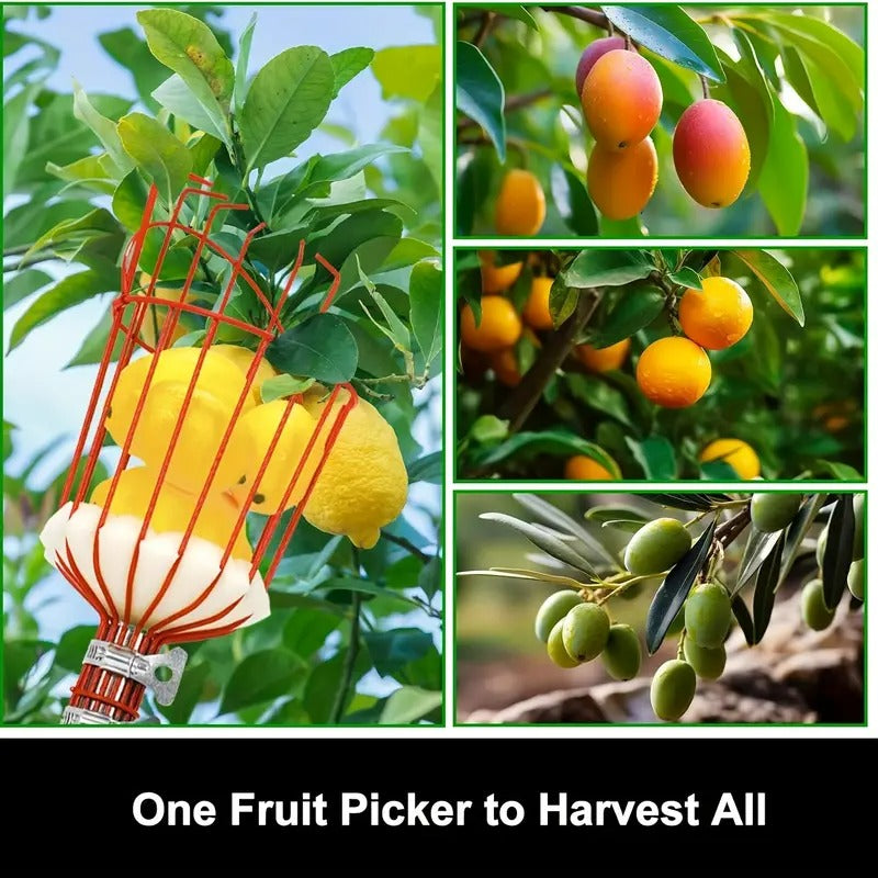 Fruit Picking Tools