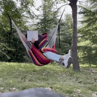 Hammock with Pillow, Blue and Red