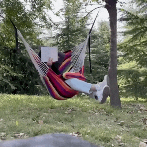 Hammock with Pillow, Blue and Red