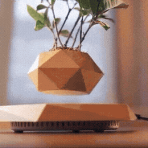 Levitating Planter Pot, Black, Wooden and Marble