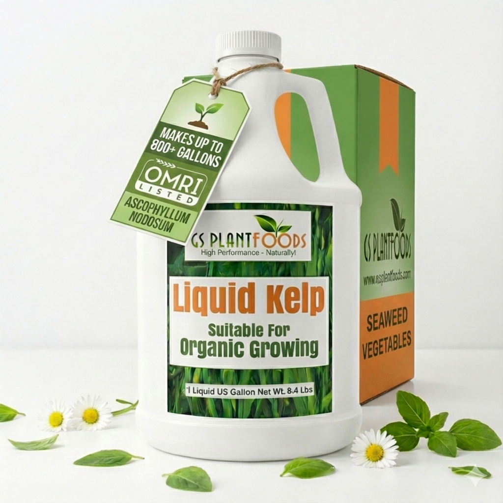Liquid Kelp Fertilizer