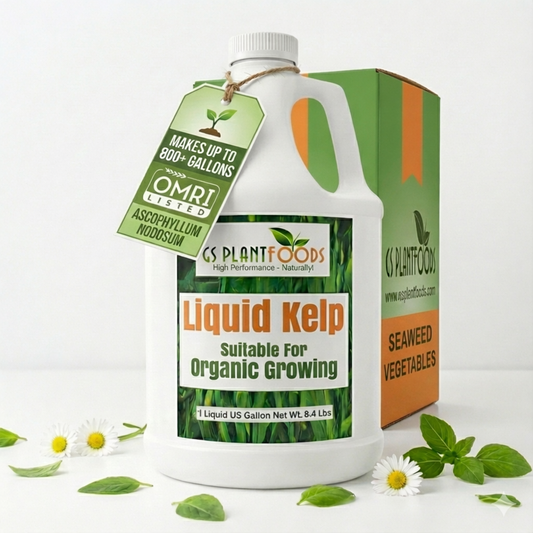 Liquid Kelp Fertilizer