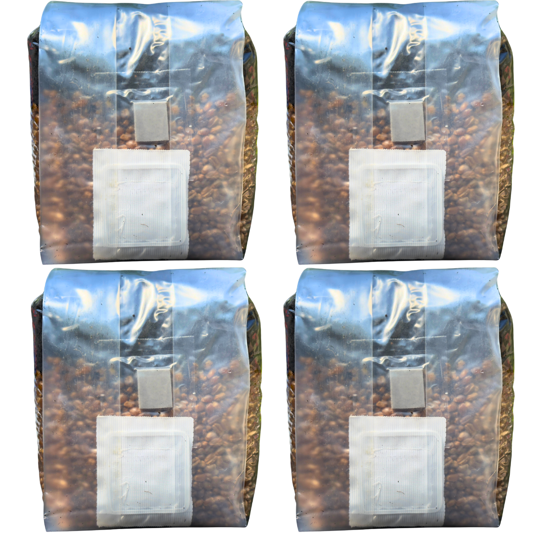 4 Pack Mushroom Grow Bags, Mushroom Grow Kit