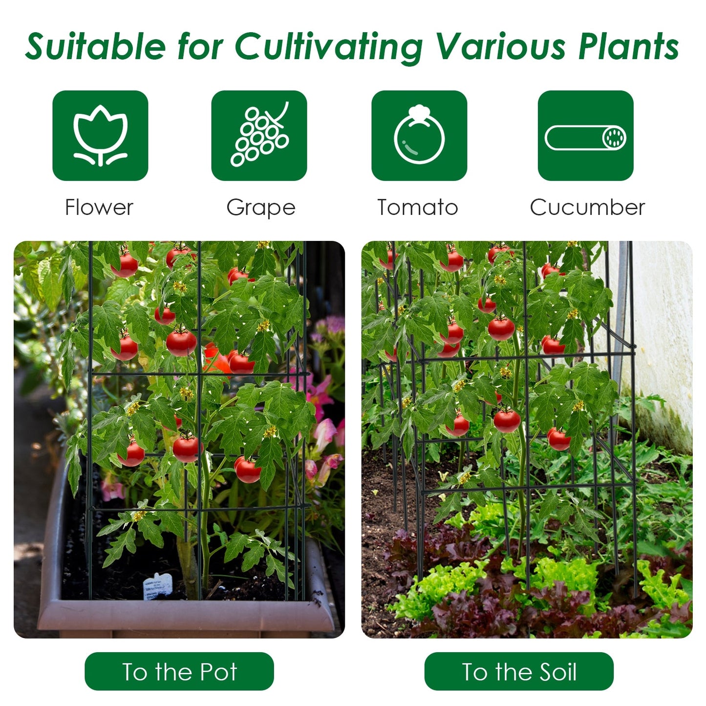 Metal Garden Trellis