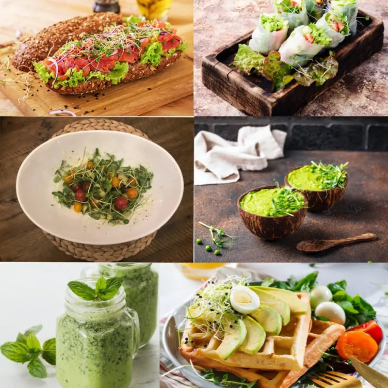 Microgreens Growing Kit Self Watering