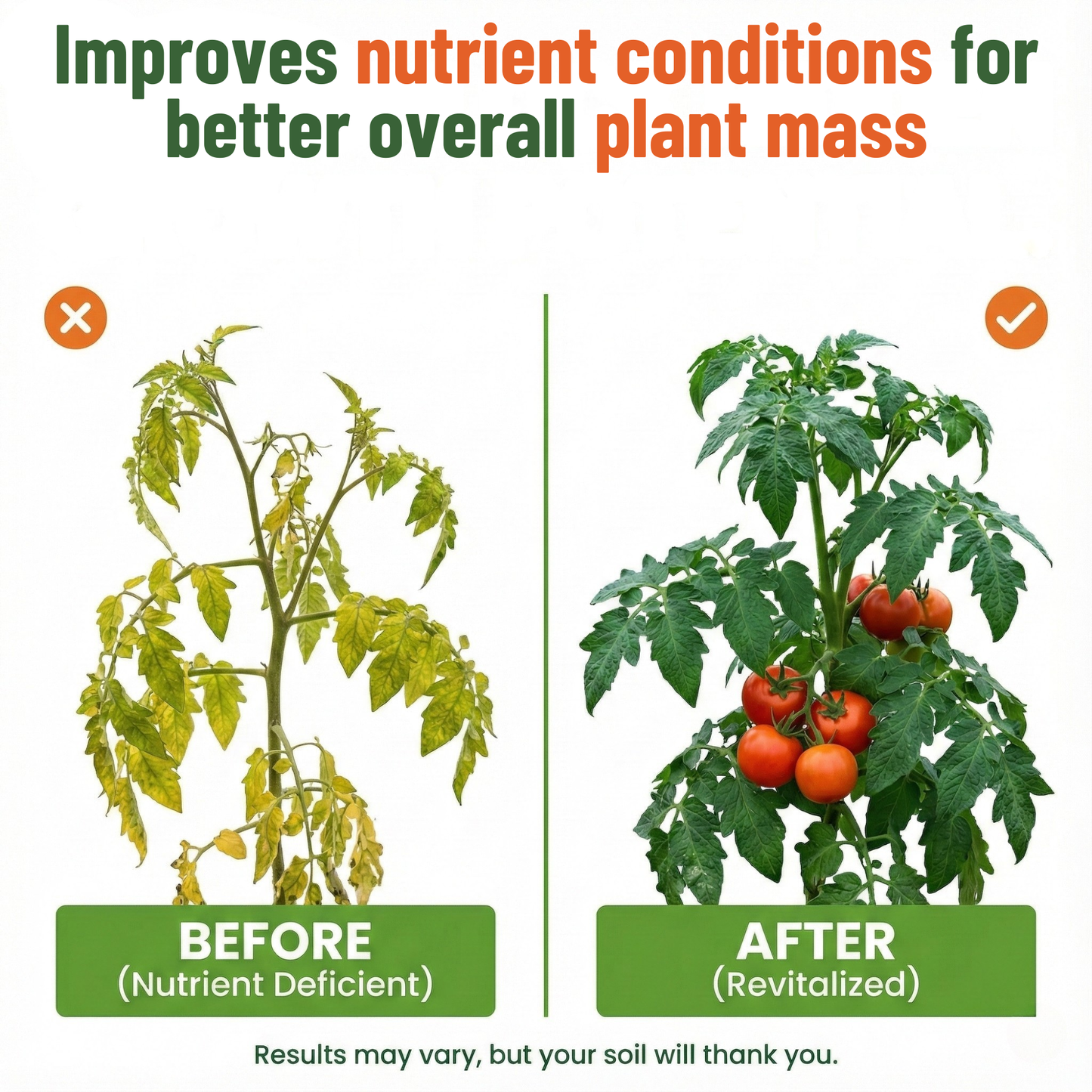 Liquid Kelp Fertilizer