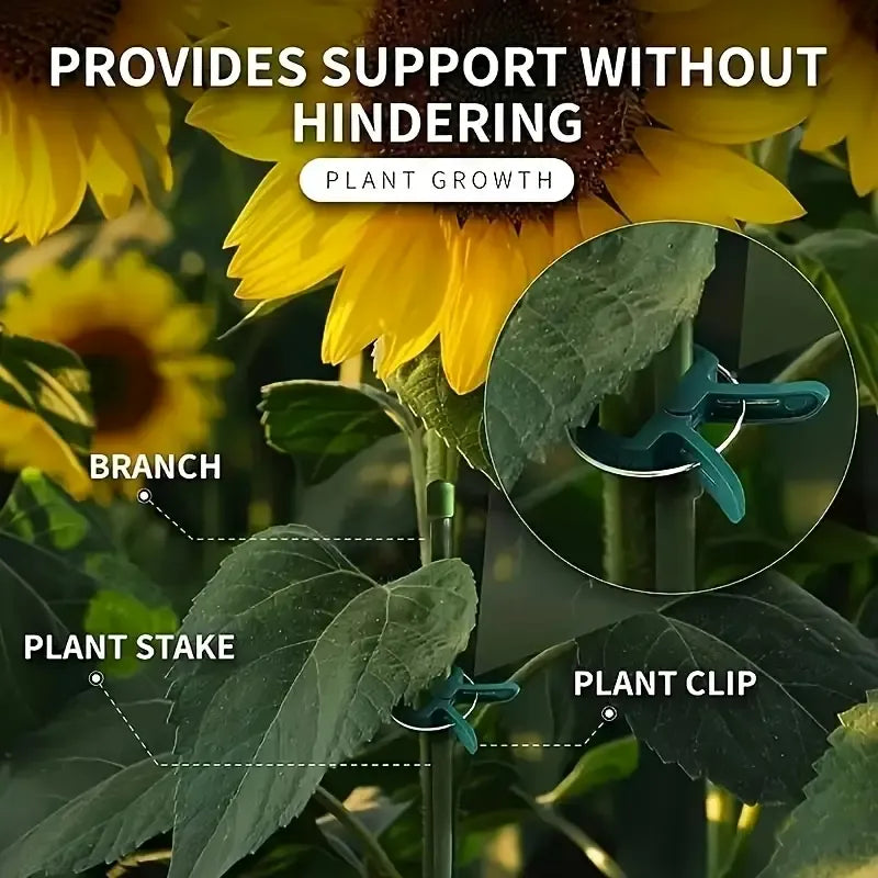 100 Pcs Adjustable Plant Clips