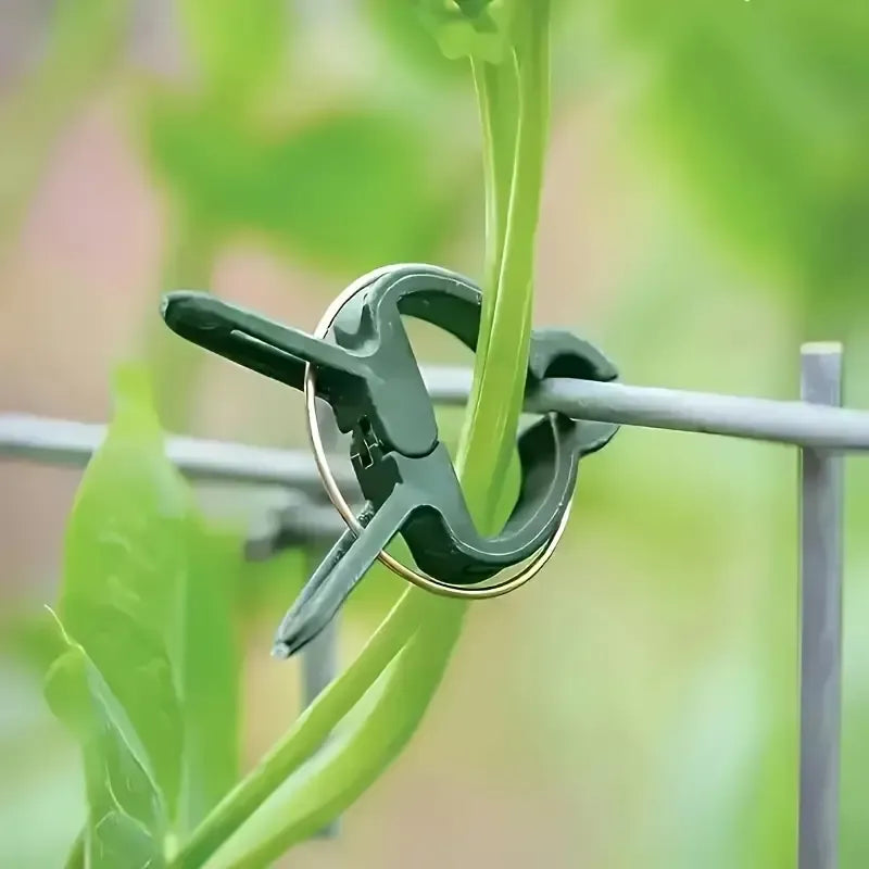 100 Pcs Adjustable Plant Clips