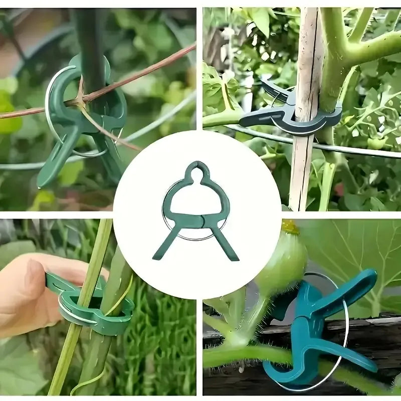 100 Pcs Adjustable Plant Clips