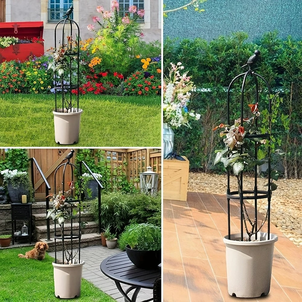 Plant Trellis for Pots Black and White